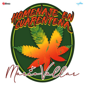 Homenaje en Cuarentena cover