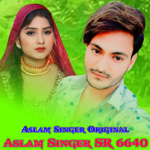 Aslam Singer SR 6640 by Aslam Singer Original
