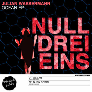 Burn Down cover art