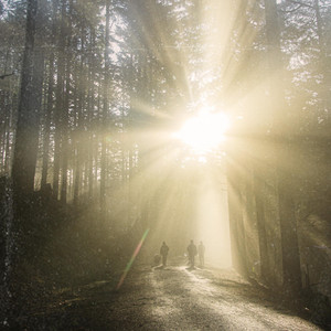 Sunlight by Scott Rivers