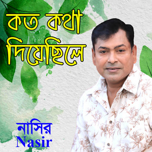 Koto Kotha Diyechile