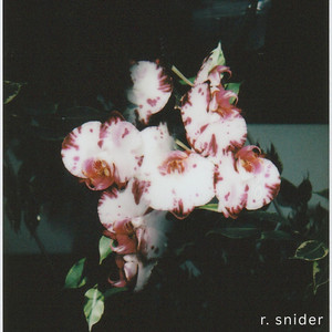 Refresh by R. Snider