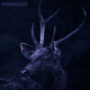 Are you still here? by Hindridge
