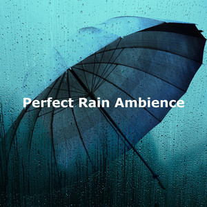 Perfect Rain Ambience