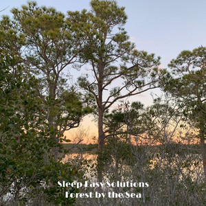 Forest By the Sea