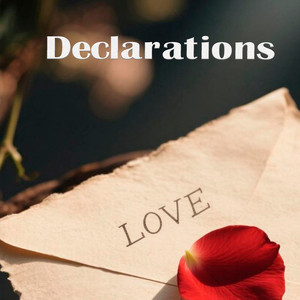 Declarations by Naya Vael