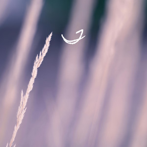 Softly by William Edessa