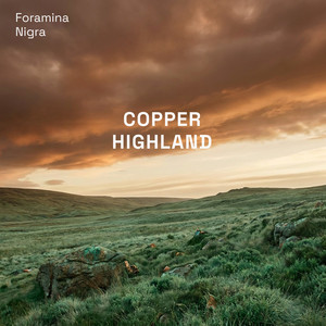 Copper Highland by Foramina Nigra