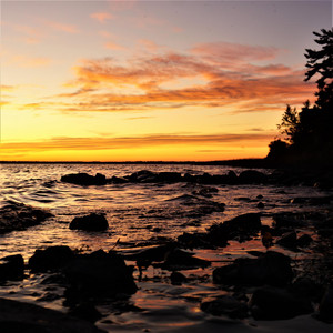 Andrei Krylov & Anastasia MG - Medieval Celtic Folk Dance Fantasy for Lute & Violin