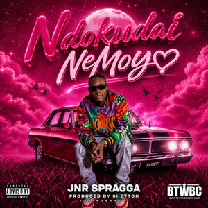 Ndokudai NeMoyo by Jnr Spragga