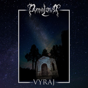 album cover: Vyraj