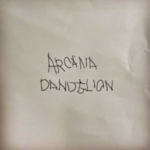 ARCANA DANDELION - Real Adult