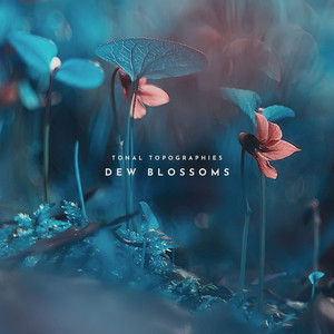 Dew Blossoms by Tonal Topographies