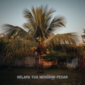 Vany Rich - Kelapa Tua Mengirim Pesan