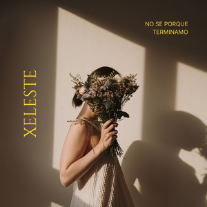 No Se Porque Terminamo by Xeleste