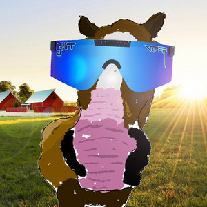PEMDAS (Please Excuse My Dope Ass Stallion) by spellcasting