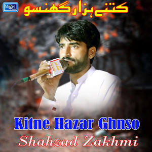 Shahzad Zakhmi - Kitne Hazar Ghnso