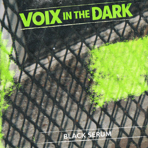 West End Girls by Voix in the Dark, markiemodel