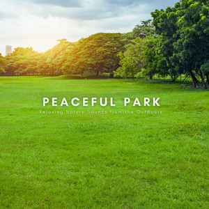 Peaceful Park: Relaxing Nature Sounds from the Outdoors