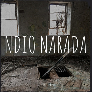 Portada de Ndio Narada
