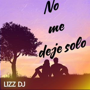 No me deje solo by Lizz Dj