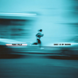Ghost In My Dreams by Funky Fella