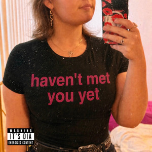Haven't Met You Yet by Dia Morgan