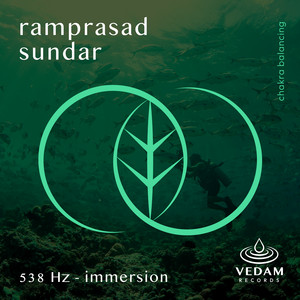 538 Hz - Immersion by Ramprasad Sundar, Vedam