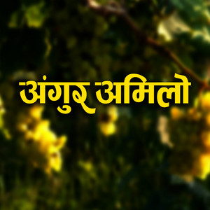 Bimalraj Chhetri, Kastup Panta & Sharmila Gurung - Angur Amilo