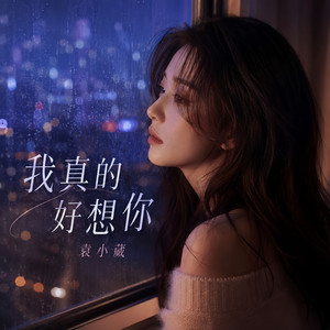 我真的好想你（却不敢打扰你） by 袁小葳