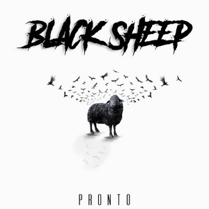 Black Sheep by Pronto