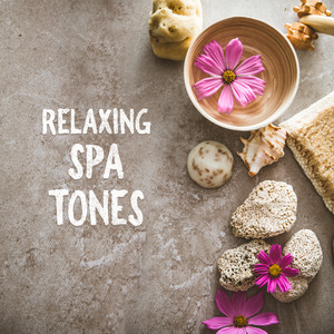 Relaxing Spa Tones – Healing Therapy, Wellness Music, Stress Relief, New Age Music for Massage, Spa, Relaxation, Sleep, Inner Harmony album
