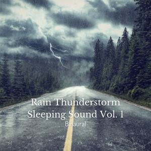 Rain Thunderstorm Sleeping Sound Vol. 1 album