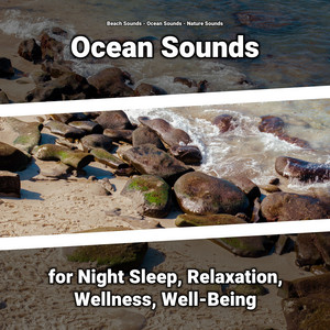 Ocean Sounds for Night Sleep, Relaxation, Wellness, Well-Being album
