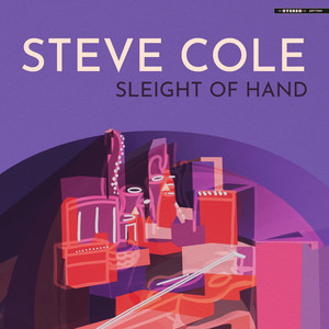 Good Times by Steve Cole