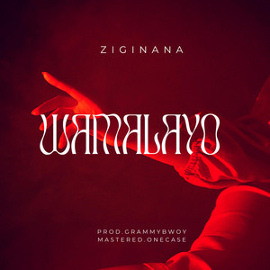 Wamalayo by Zigi Nana