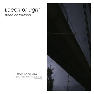 Bleed on fantasia by Leech of Light