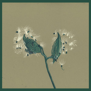 洋楽 Stargaze - You Can't Have It Stargaze - You Can't Have It — The Mixtape Club