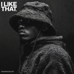 SigmaMusicArt - I Like That