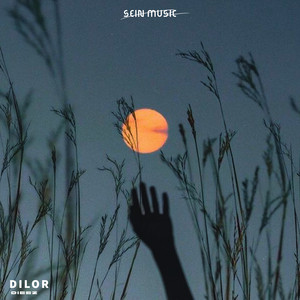 Dilor by Dieez