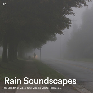 #01 Rain Soundscapes for Meditation Vibes, Chill Mood & Mental Relaxation album