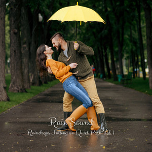Rain Sound: Raindrops Falling on Quiet Park Vol. 1 album