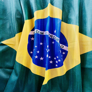 Lisa Lopes Vieira Feat. Idemilson Vieira - Hino Nacional Brasileiro