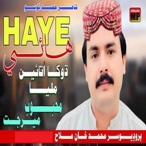 Mehboob Mirjat - Haye Dhoka Utain Milya