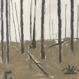 In the Field