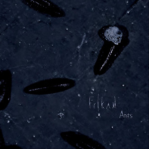 Ants by Frikam