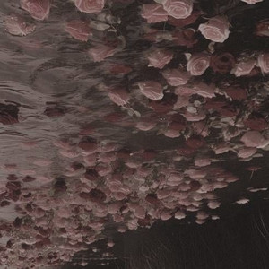 why flowers die by alterity