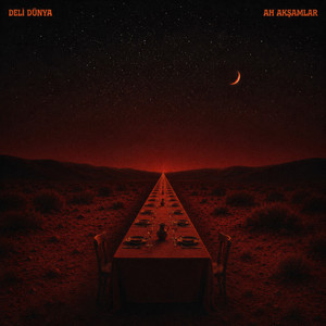 Ah Akşamlar by Deli Dünya