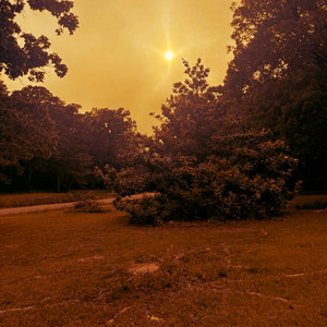 album cover: PANDERINE