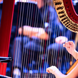 The Sound of Silence - Live with Orchestra